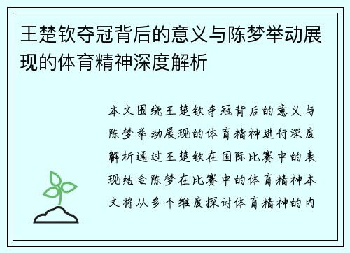 王楚钦夺冠背后的意义与陈梦举动展现的体育精神深度解析