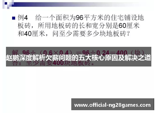 赵鹏深度解析欠薪问题的五大核心原因及解决之道