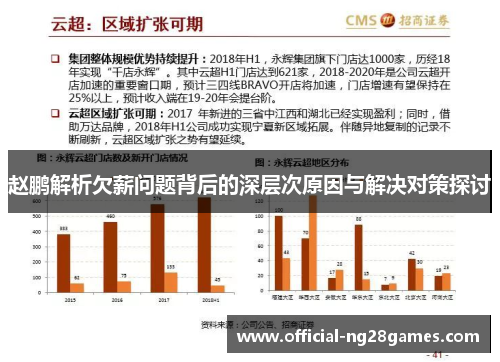 赵鹏解析欠薪问题背后的深层次原因与解决对策探讨