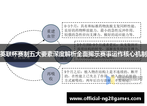 英联杯赛制五大要素深度解析全面揭示赛事运作核心机制