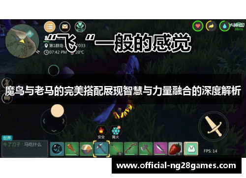魔鸟与老马的完美搭配展现智慧与力量融合的深度解析