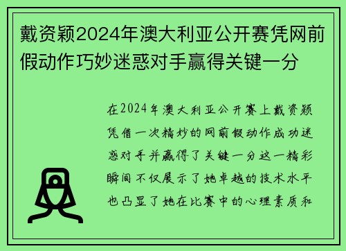 戴资颖2024年澳大利亚公开赛凭网前假动作巧妙迷惑对手赢得关键一分