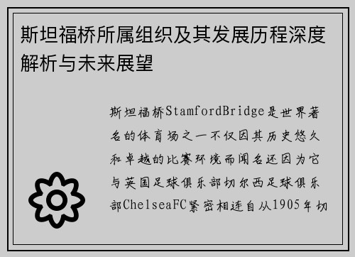 斯坦福桥所属组织及其发展历程深度解析与未来展望